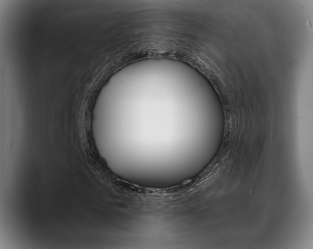 X0000089380961200706150908
