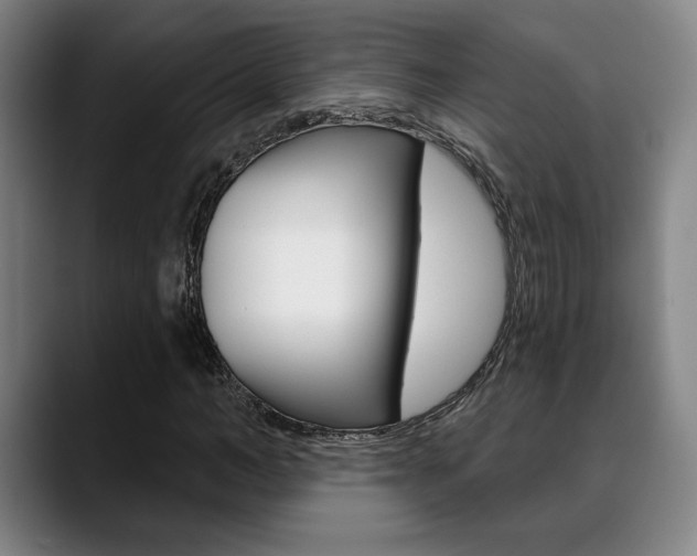 X0000089380966200706150908