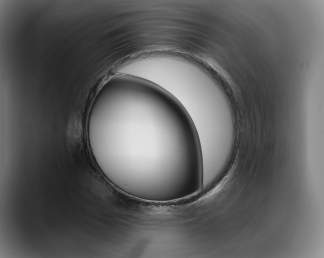 X0000089380969200706150908