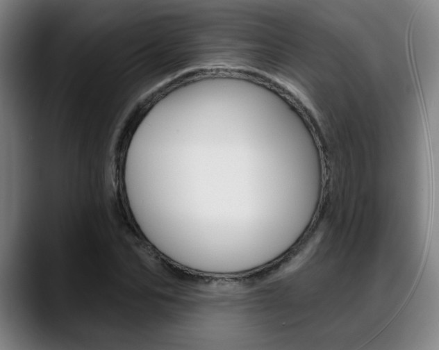 X0000089380974200706150908