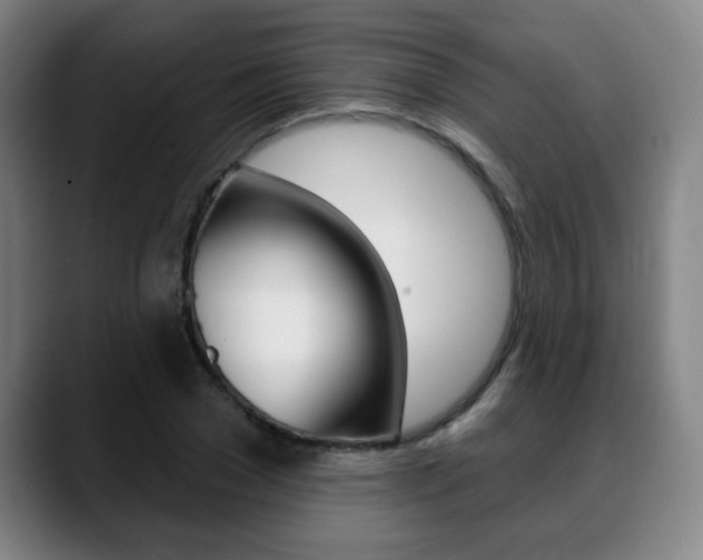 X0000089380977200706150908