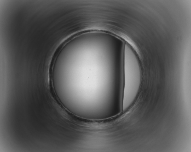 X0000089380980200706150908