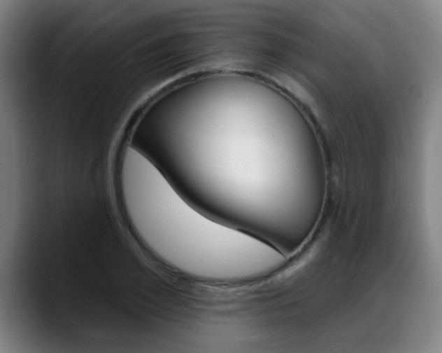 X0000089380981200706150908