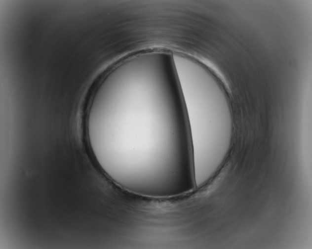 X0000089380983200706150908