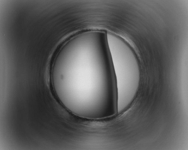 X0000089380984200706150908