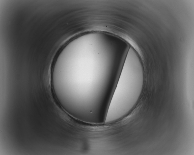 X0000089380988200706150907