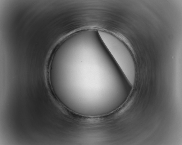 X0000089380989200706150907