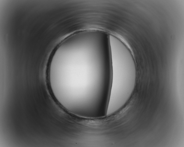 X0000089380995200706150907