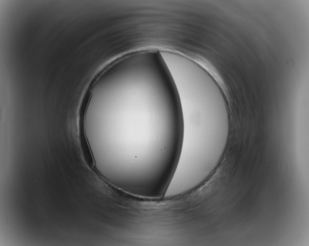 X0000089380996200706150907