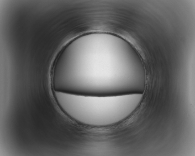 X0000089380998200706150907