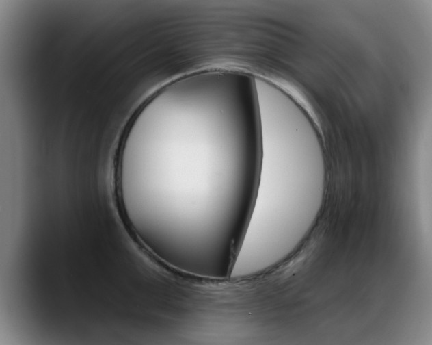 X0000089380999200706150907