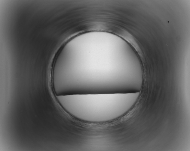 X0000089381000200706150907