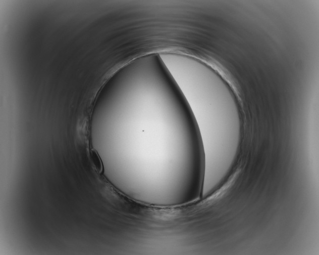 X0000089381001200706150907