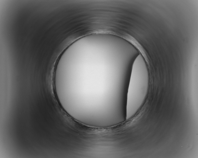X0000089381002200706150907