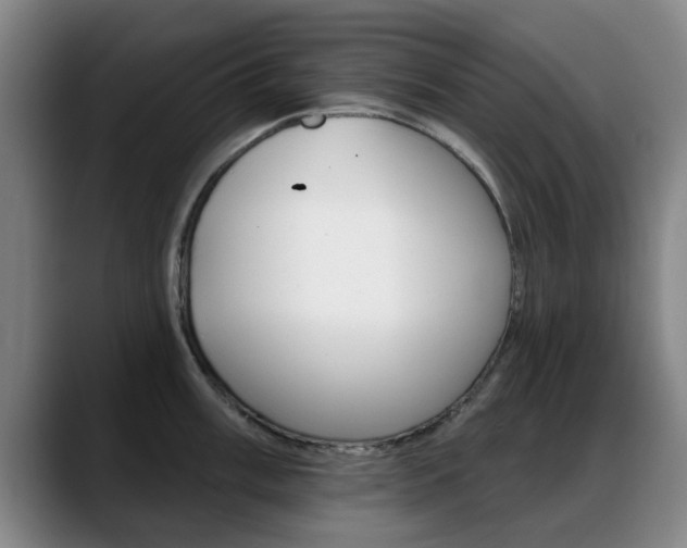 X0000089381003200706150907