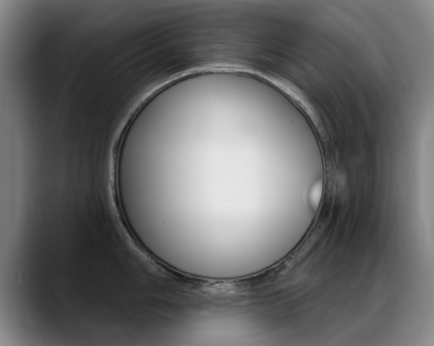 X0000089381006200706150907