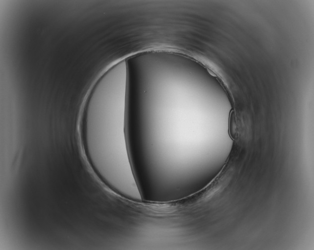 X0000089381007200706150907