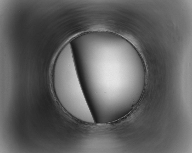 X0000089381008200706150907
