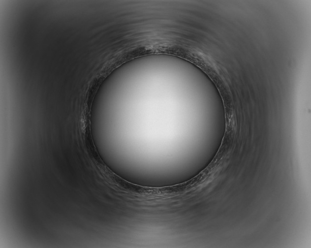 X0000089381012200706150907