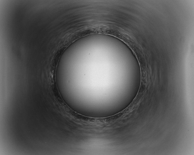 X0000089381013200706150907