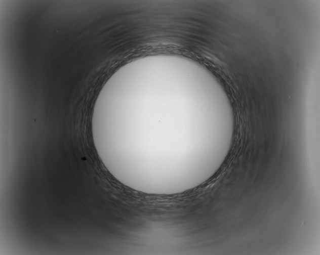 X0000089381014200706150907