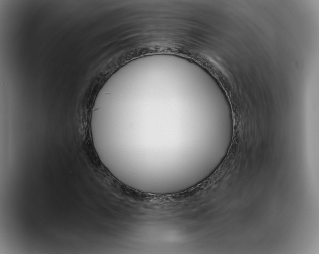 X0000089381015200706150907