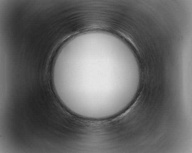 X0000089381018200706150907