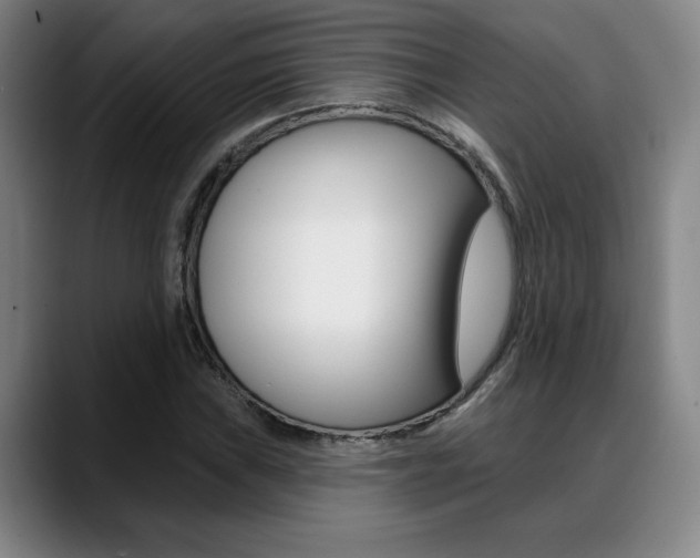 X0000089381019200706150907