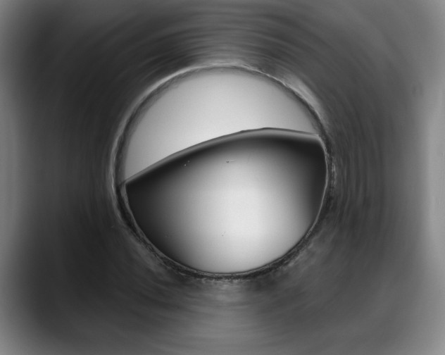 X0000089381020200706150907