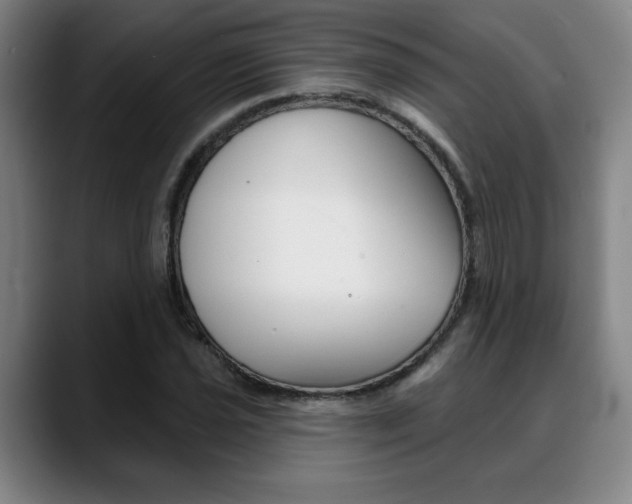 X0000089381021200706150907