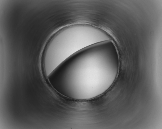 X0000089381024200706150907