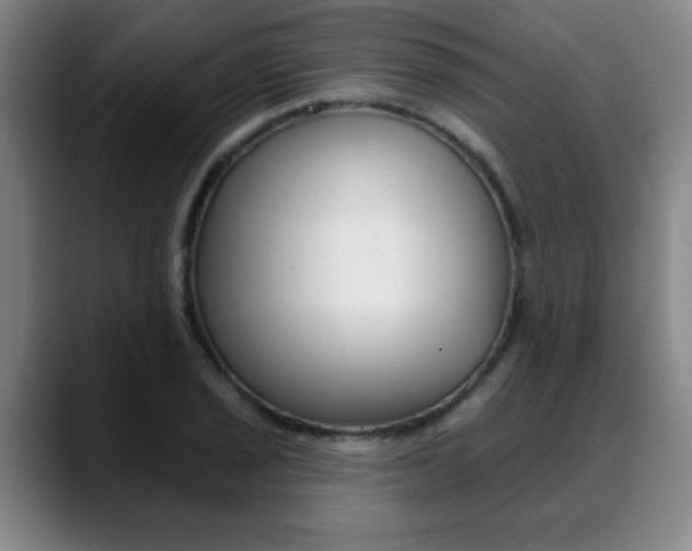 X0000089381029200706150907