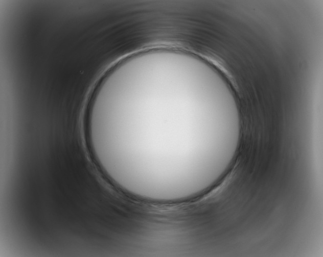 X0000089381030200706150907