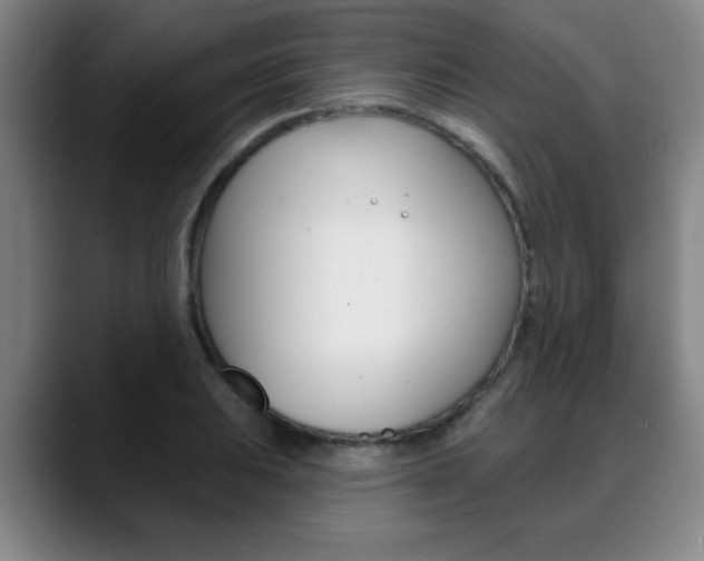 X0000089381031200706150907