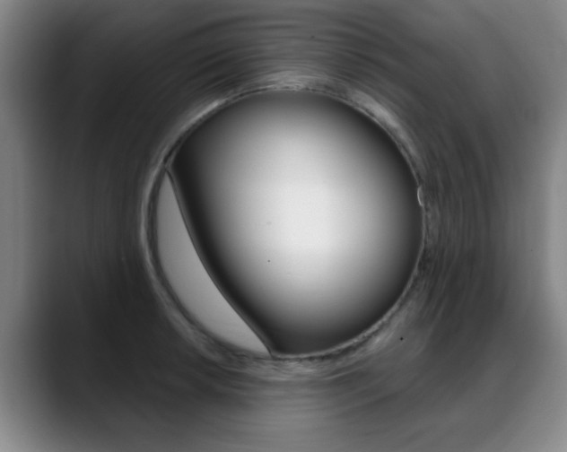 X0000089381042200706150907