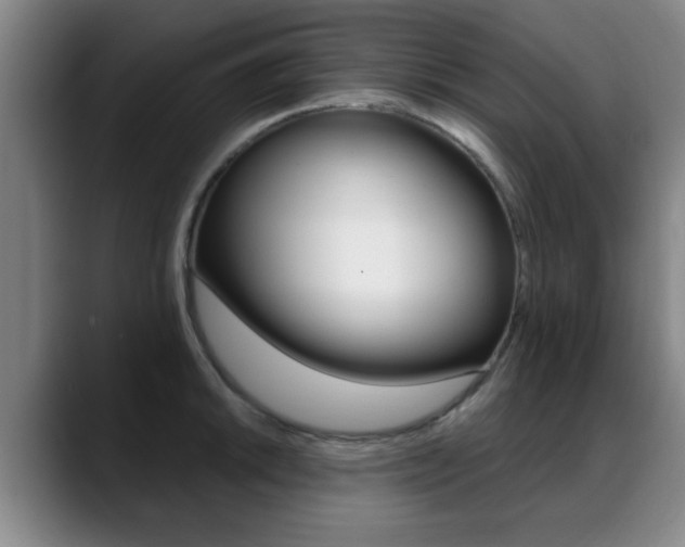 X0000089381046200706150907