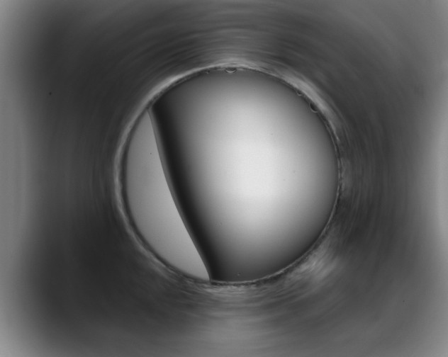 X0000089381048200706150907