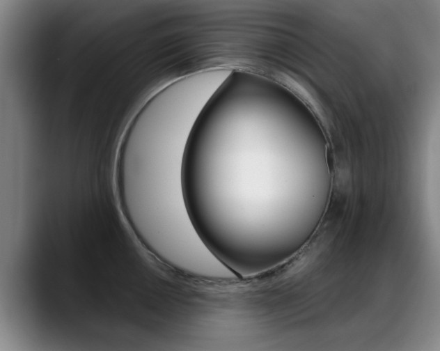 X0000089381050200706150907