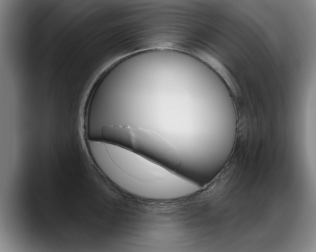 X0000089381051200706150907