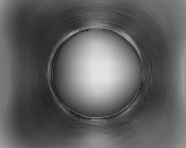 X0000089381053200706150907