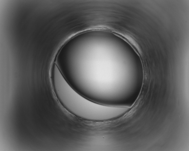 X0000089381054200706150907