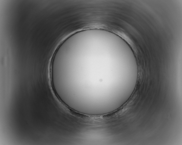 X0000089381055200706150907