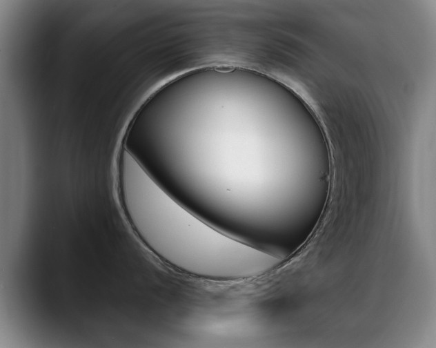 X0000089381056200706150907