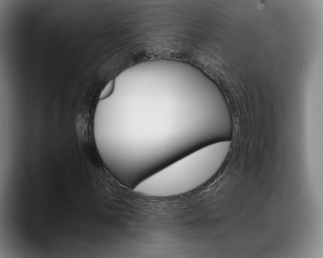 X0000089381059200706150906