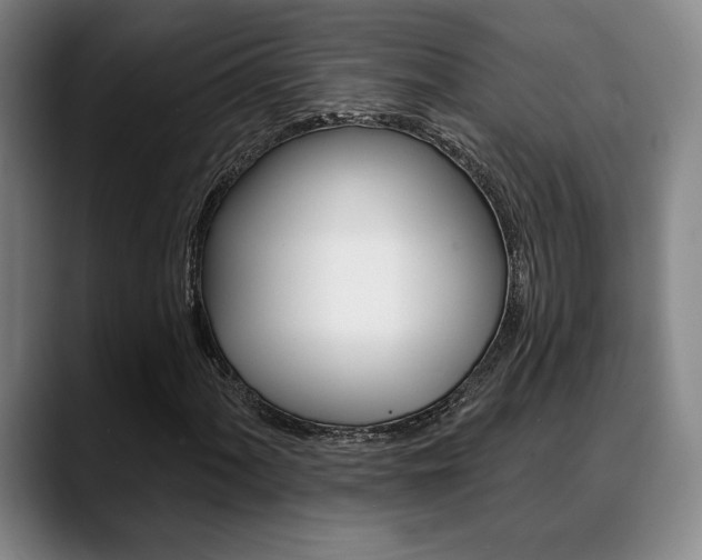 X0000089381060200706150906