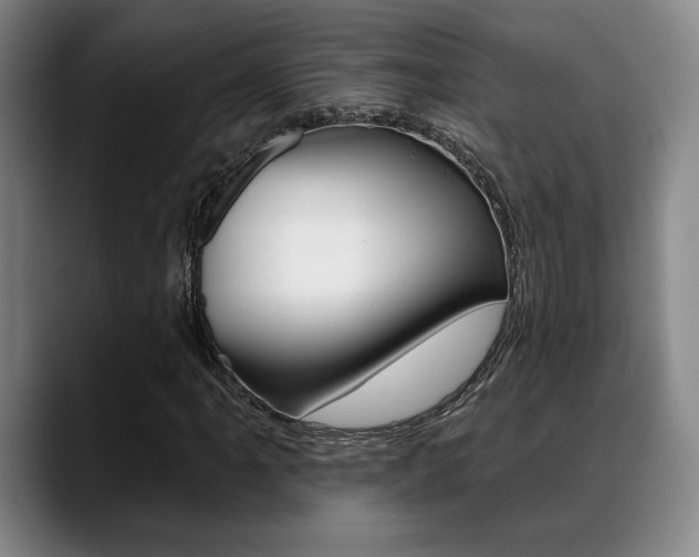 X0000089381061200706150906