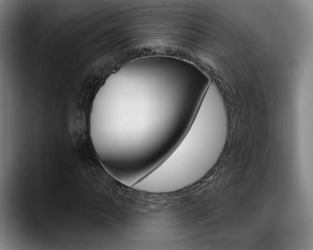 X0000089381062200706150906