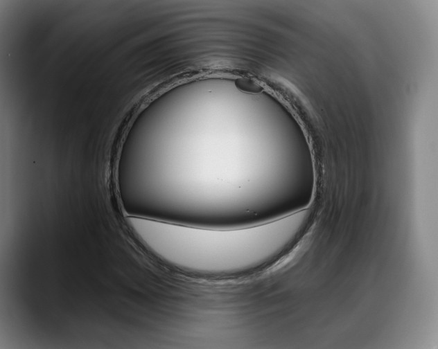 X0000089381065200706150906