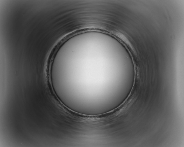 X0000089381068200706150906