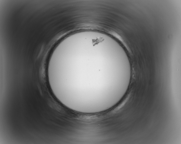 X0000089381074200706150906